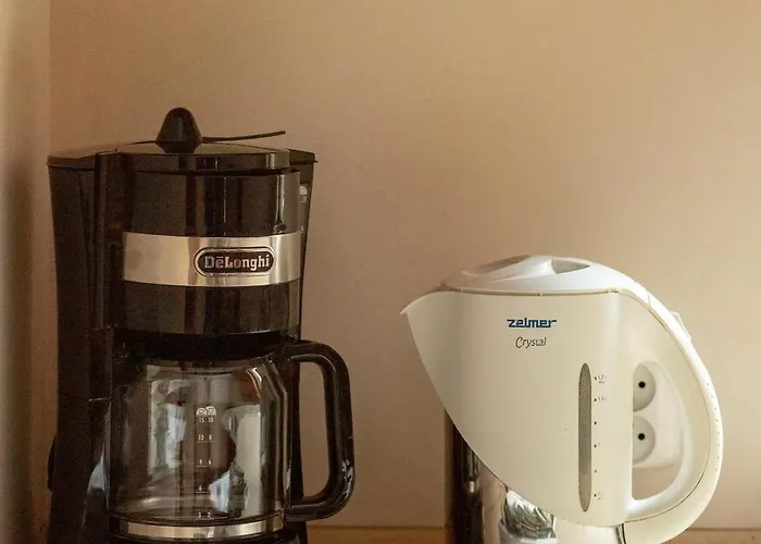 Family In The Centre By Renters * Sopot