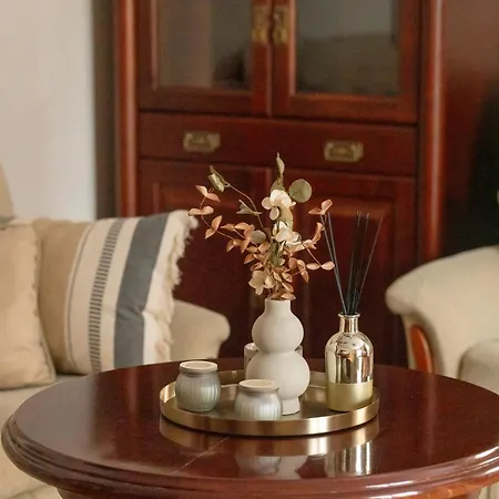 公寓 Family In The Centre By Renters *